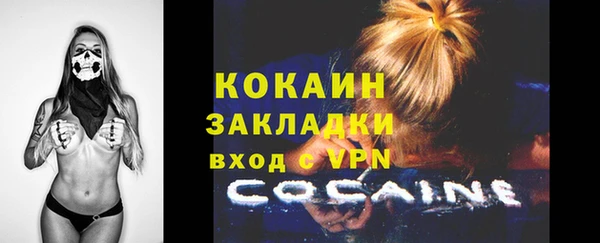 ECSTASY Гусь-Хрустальный