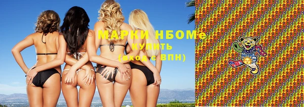 индика Гусиноозёрск