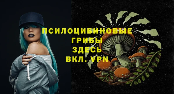 индика Гусиноозёрск