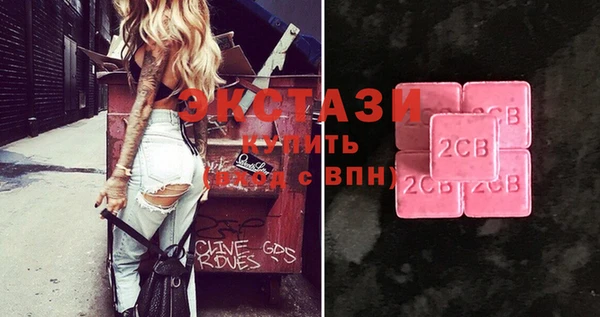 индика Зеленодольск