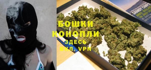 ECSTASY Гусь-Хрустальный