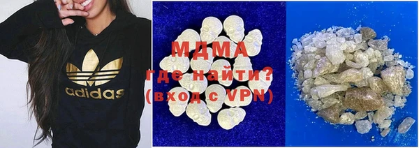 индика Гусиноозёрск