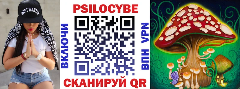 Псилоцибиновые грибы прущие грибы  mega как войти  Заинск  где купить наркоту 