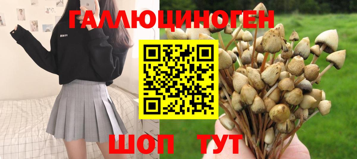 Галлюциногенные грибы мухоморы  Галлюциногенные грибы Psilocybine cubensis  Заинск  где купить   Вход с VPN 